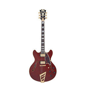 D'ANGELICO Excel DC Viola