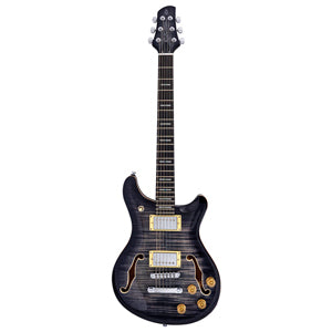 LARRY CARLTON Q7 Hollow TBK