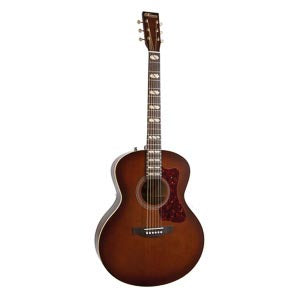 NORMAN ST30 MJ Havana Burst Element