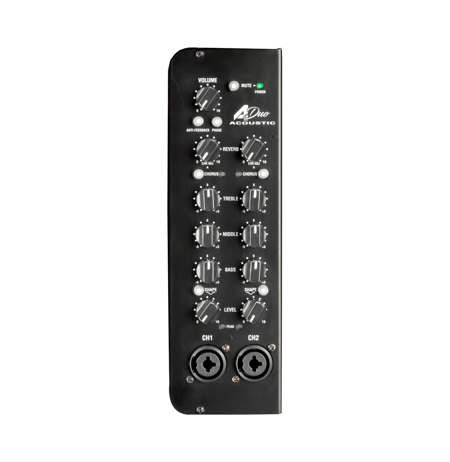 Ampli guitare acoustique 120W (Classe D) A-Duo-2, 2x HP 8" double cône, 2 canaux identiques, marron