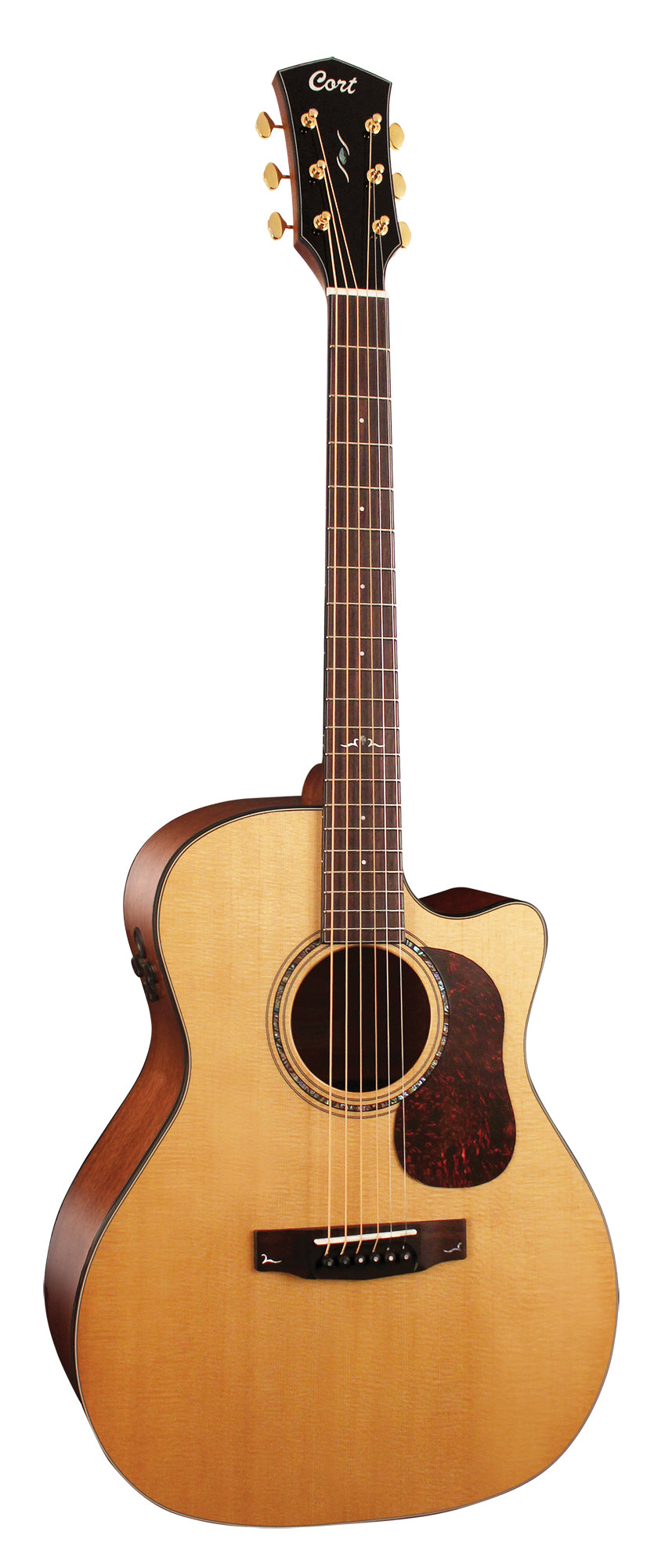 GOLD-A6, forme Grand Auditorium, table épicéa massif torréfié, f/e acajou massif, EQ Fishman Flex Blend, naturel brillant