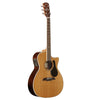 Alvarez Artist AG75WCE Naturale
