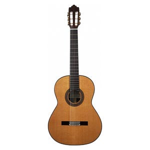 ALTAMIRA CLASSIQUE Ganadora N650 4/4 EN + housse