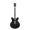 D'Angelico Premier DC Black Flake