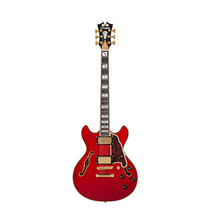 D'ANGELICO Excel Mini DC Trans Cherry