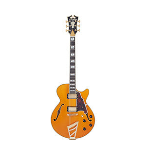 D'ANGELICO Excel SS Vintage Natural