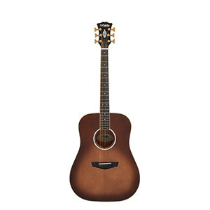 D'ANGELICO Excel Lexington Autumn Burst