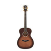 D'Angelico Excel Tammany Autumn Burst