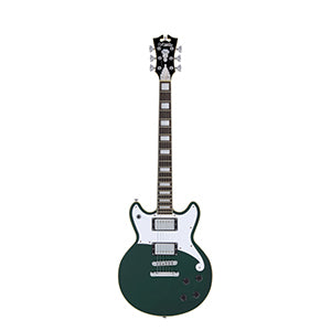 D'ANGELICO Premier Brighton Sherwood Green