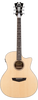D'Angelico Premier Gramercy Lucido Crema