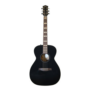 Godin Connaisseur Folk GT + housse