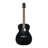 Godin Connaisseur Folk GT + custodia