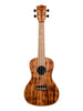 Kala Solid Acacia, Concert
