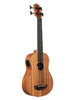 Kala Nomad U-Bass, elettro-acustico, fornito con custodia