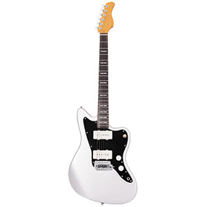 LARRY CARLTON J3 Silver RN