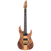 Larry Carlton X10 NT.S DC RN