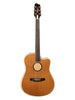 L.R. Baggs AEG-1 Guitare acoustique électrique - Torrefied