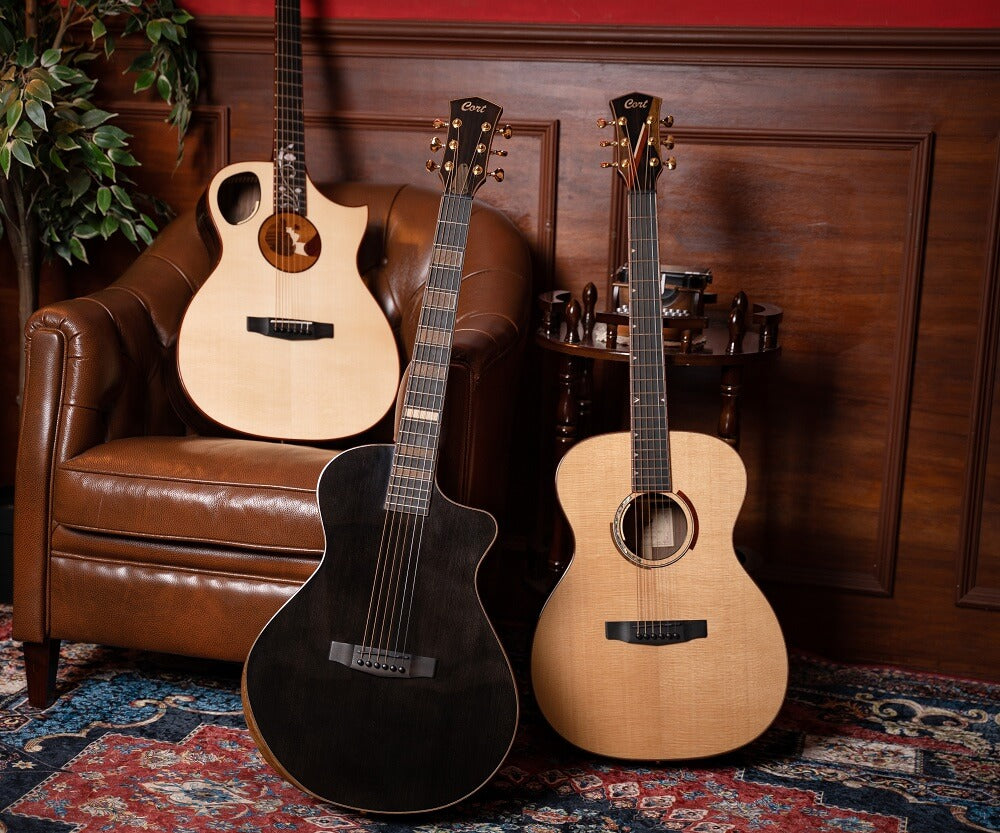 Quale chitarra acustica scegliere in base al proprio budget?