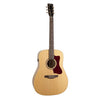 NORMAN B20 Natural GT Presys II + housse