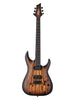 Schecter C-1 Pale Moon - sfumato nero satinato naturale