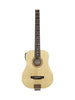 Traveler AG-105 EQ, acustica, microfono e preamplificatore Shadow