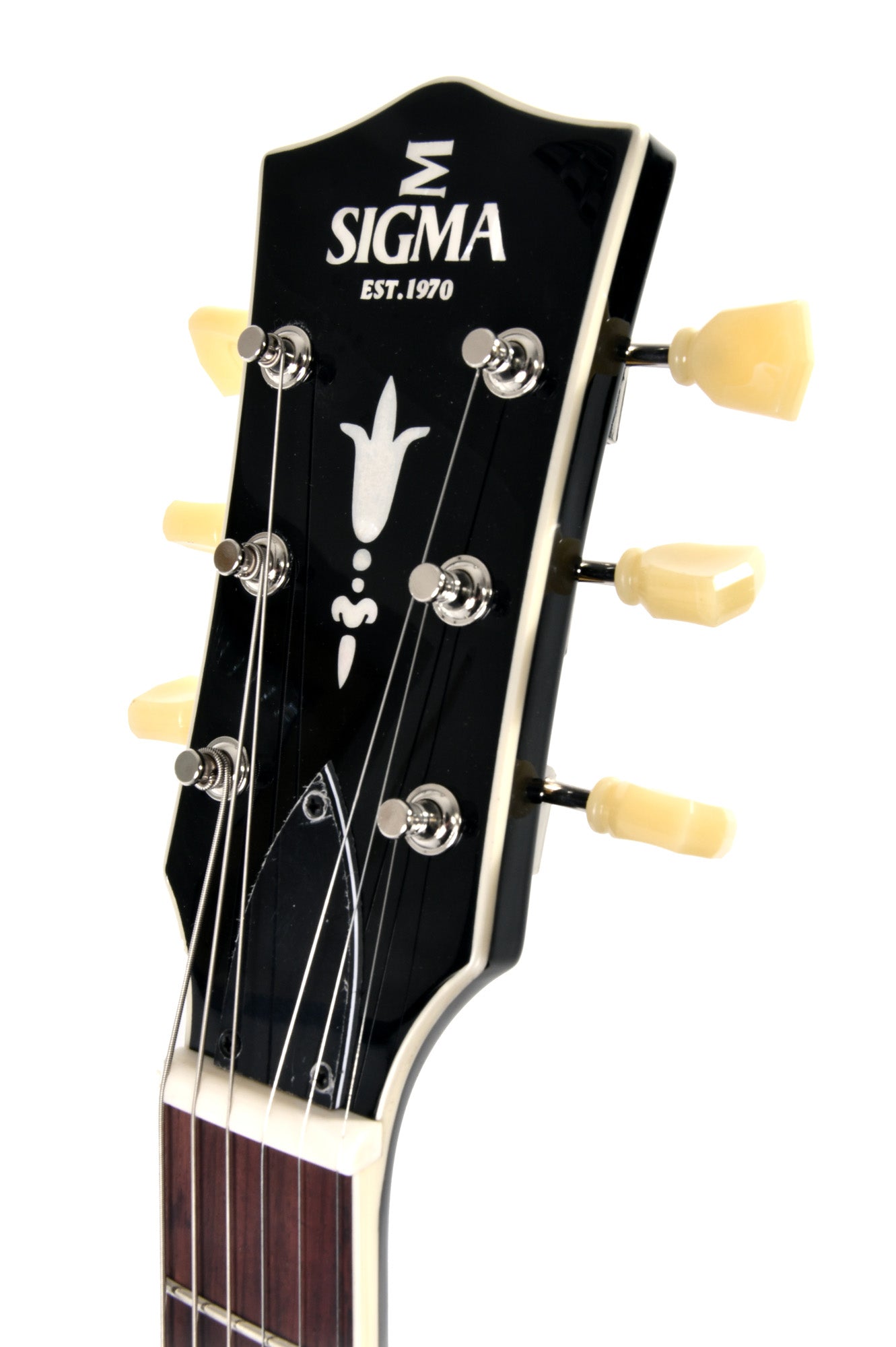 Modèle HBA-102P, Forme Semi-Hollow, table érable, f/e érable, touche palissandre, 2 micros P90 DogEar, noir brillant, soft case