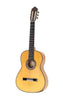 Esteve Alegria Flamenco