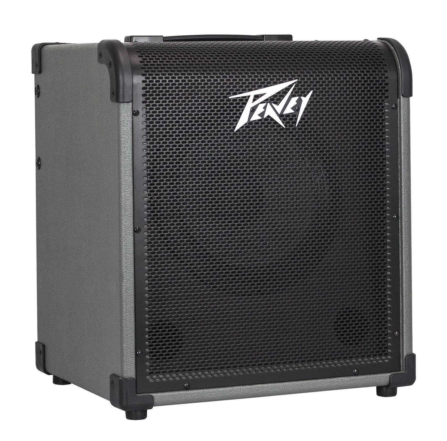 Ampli basse électrique 60W , HP 1x 10" Premium, 1 contrôle de Volume, 1 contrôle de Gain, EQ 3 bandes, finition noir