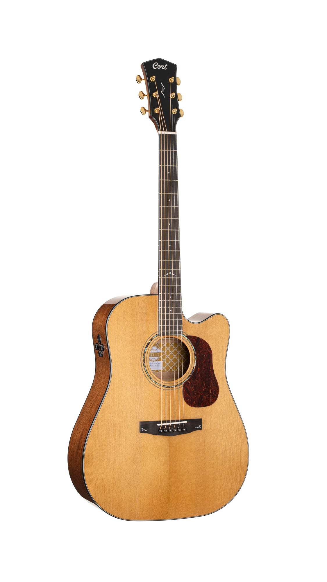GOLD-DC6, forme Dreadnought pan coupé, table épicéa Sitka massif torréfié, f/e acajou massif, EQ Fishman Flex Blend, naturel