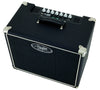 Amplificatore Combo Hayden Mighty Mofo 5
