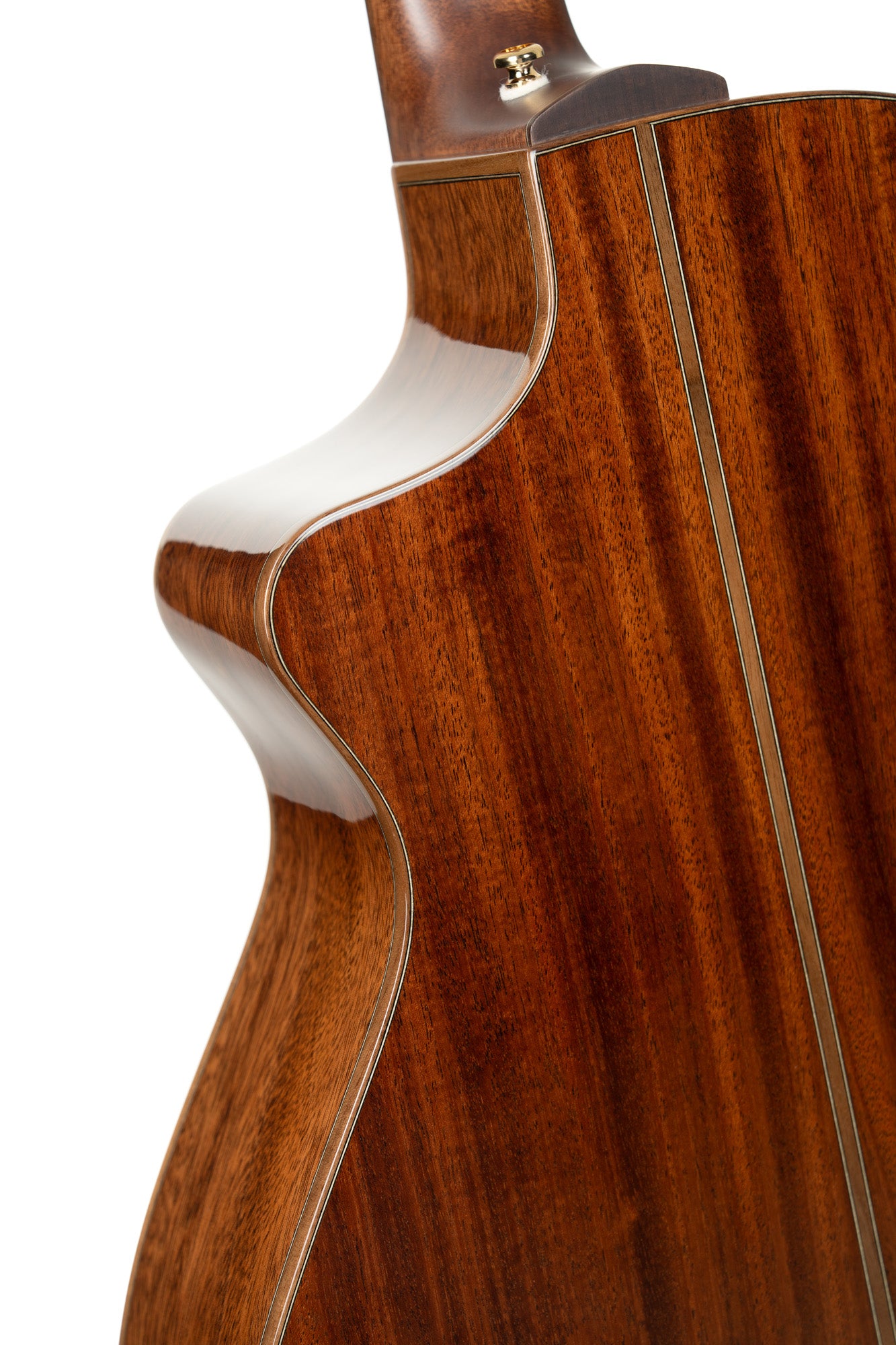 GUITARE CORT MODERN BURGUNDY TBD
