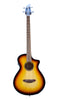 Breedlove Discovery S Concert CE Basse Edgeburst
