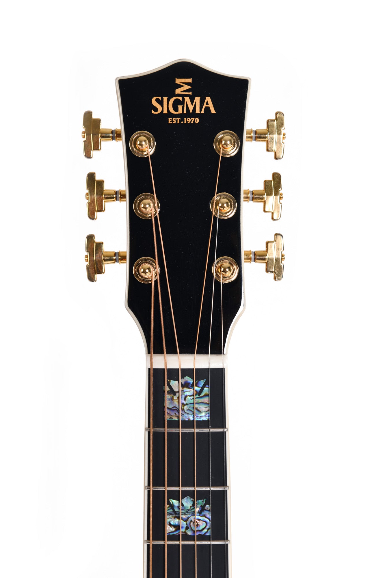 Modèle GJA-SG300, Grand Jumbo, table épicéa massif, f/e palissandre indien, EQ Fishman, soft case, naturel brillant