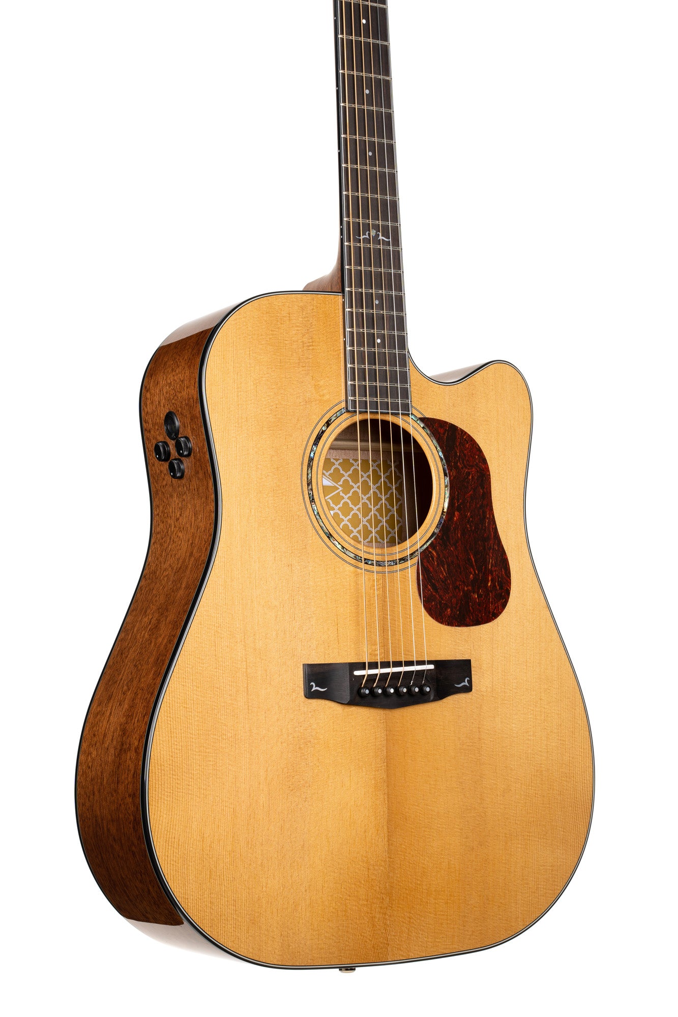 GOLD-DC6, forme Dreadnought pan coupé, table épicéa Sitka massif torréfié, f/e acajou massif, EQ Fishman Flex Blend, naturel