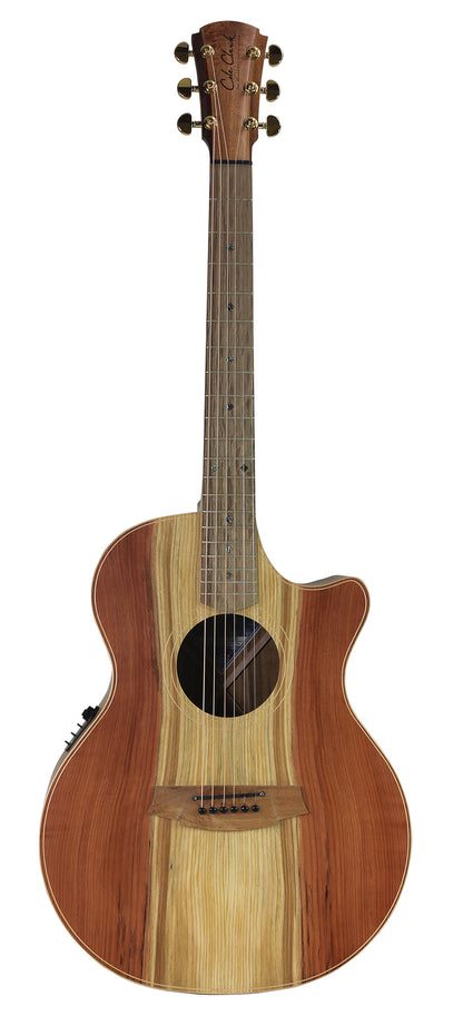 GUITARE COLE CLARK AN2EC, ETUI