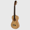Chitarra Esteve Lacote in palissandro