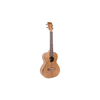 kala ukulélé KA-PWT Tenor