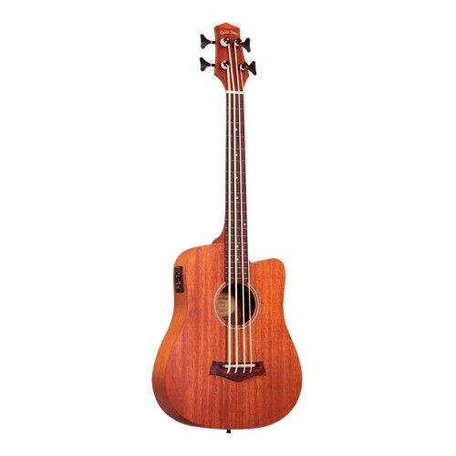 gold tone basso elettro-acustico M-BASS/FL