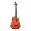 gold tone basso elettro-acustico M-BASS/FL