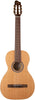 Godin Motivo Clasica II